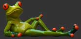 Frog resting