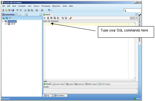 Type your SQL commands in the large "Enter SQL Statement field