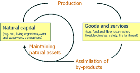 Figure 1: Ecosystem Services are produced by Transformations of Natural Capital