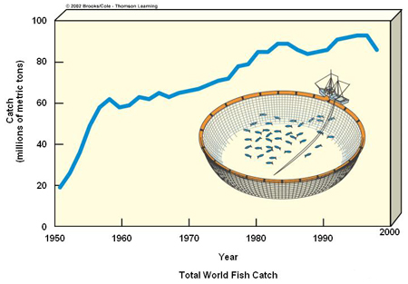 annual commercial fish catch