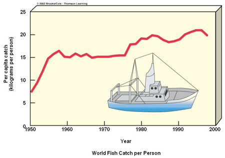 World fish catch per peson