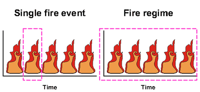 difference in fire regime 
