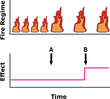 Figure 3.3 new fire regime