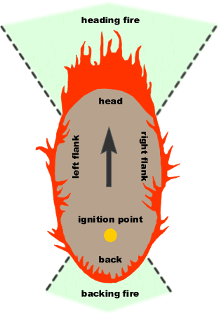 Flanking and Backing Fire Behavior