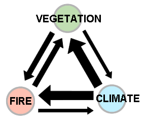 Strength and direction of the relationship among vegetation, fire and climate 
