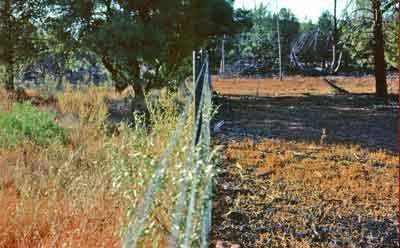 Fence contrast