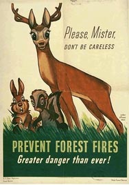 Poster: Prevent forest fires