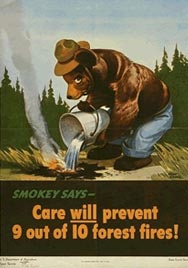Poster: Care will prevent 9 out of 10 forest fires