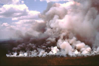 Aerial smoke from a savana fire 