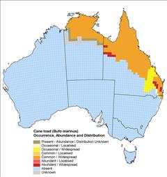 Cane Toad Distribution