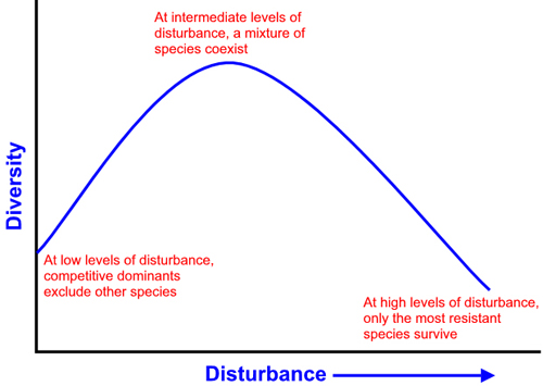 Graph depicting the key ideas of IDH