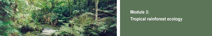 Module 3: Tropical rainforest ecology