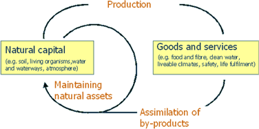 Figure 1. Ecosystem Services are produced by Transformations of Natural Capital