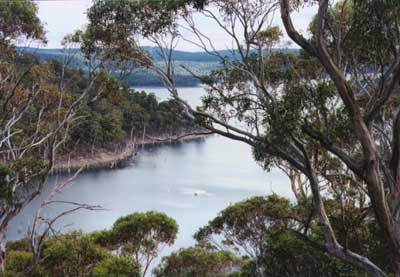 Kakadu