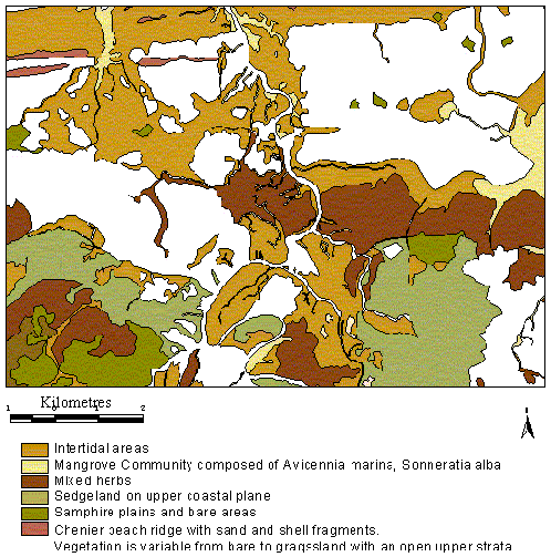figure 3-subset of the lynch vegeationmap with legend to indicate vegetation classes